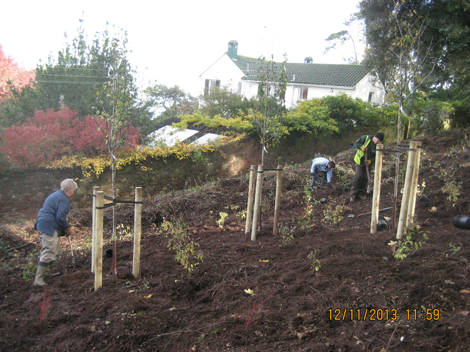 Planting lower eastern area 2