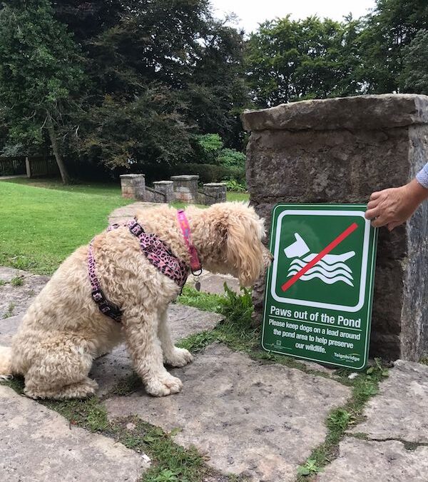 Ruby has been instructed in pond etiquette!