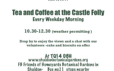 Homeyards Teas 2025
