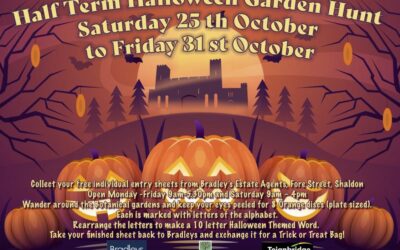 Half Term Halloween Garden Hunt
